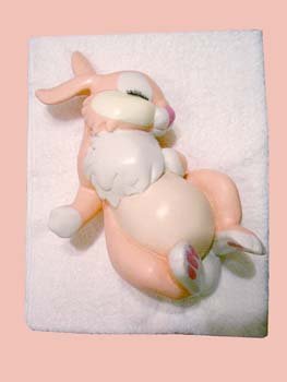 bermudez 2006PinkBunny