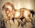 binkele 4F. HORSE WITH SIENNA FACE SKOT