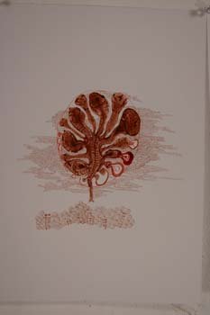 rizzi (137)