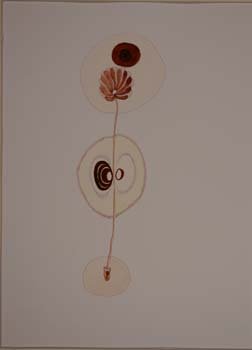 rizzi (142)