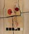 rizzi (168)