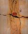 rizzi (207)