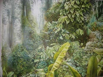 feuillet forest