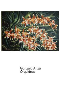 Gonzalo Ariza